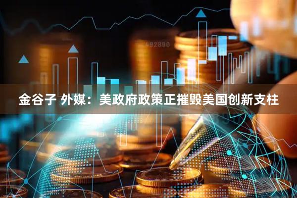 金谷子 外媒：美政府政策正摧毁美国创新支柱