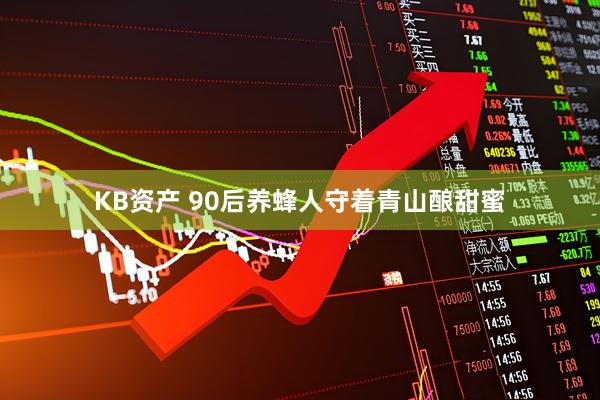 KB资产 90后养蜂人守着青山酿甜蜜