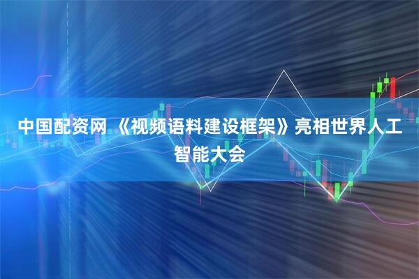 中国配资网 《视频语料建设框架》亮相世界人工智能大会