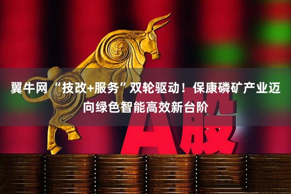 翼牛网 “技改+服务”双轮驱动！保康磷矿产业迈向绿色智能高效新台阶