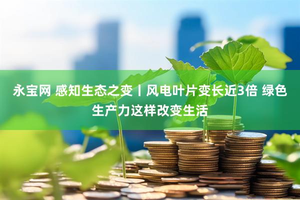 永宝网 感知生态之变丨风电叶片变长近3倍 绿色生产力这样改变生活
