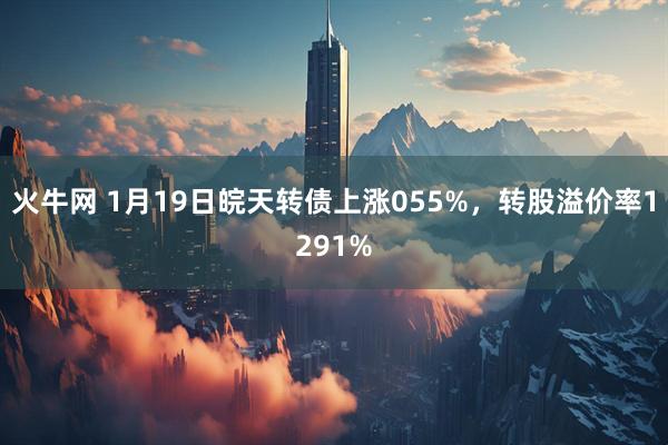 火牛网 1月19日皖天转债上涨055%，转股溢价率1291%