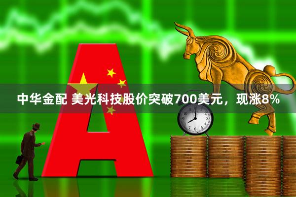 中华金配 美光科技股价突破700美元，现涨8%
